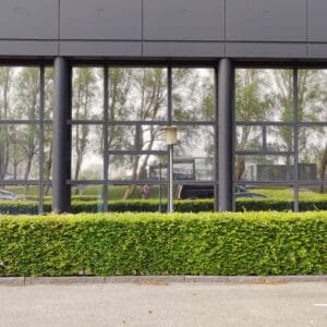 Chrome 270 XC, UDVENDIG SOLFILM - Image 5
